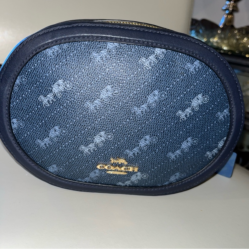 Rare coach Crossbody shoulder clutch bag